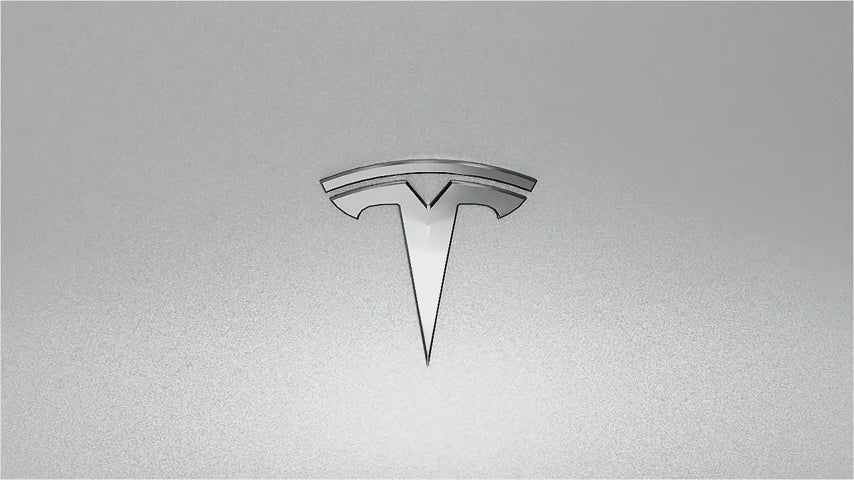 EVDANCE SAE J1772 to Tesla Charging Adapter 80 Amp/ 240V